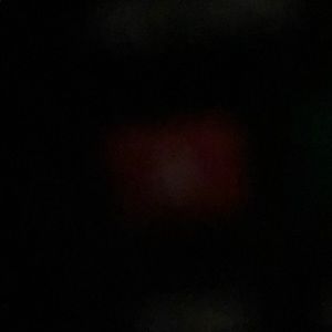 Meet your Posher, Leonardo